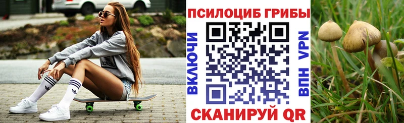 Псилоцибиновые грибы Psilocybe  Купить где  Покачи 